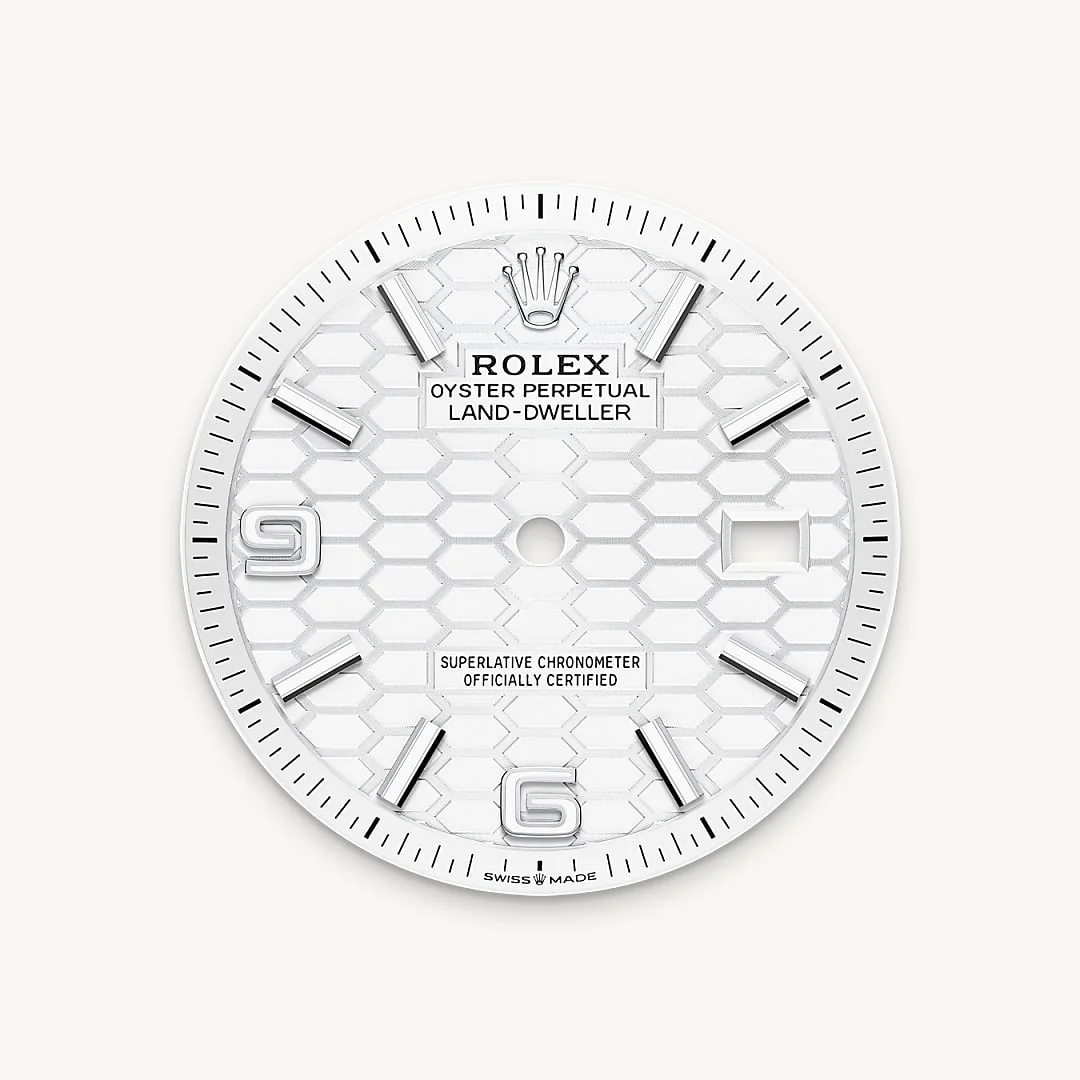 Rolex Land-Dweller 36 - Intense white dial