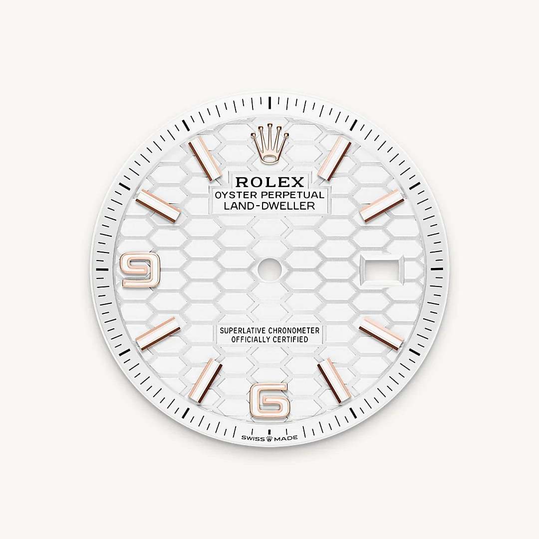 Rolex Land-Dweller 36 - Intense white dial