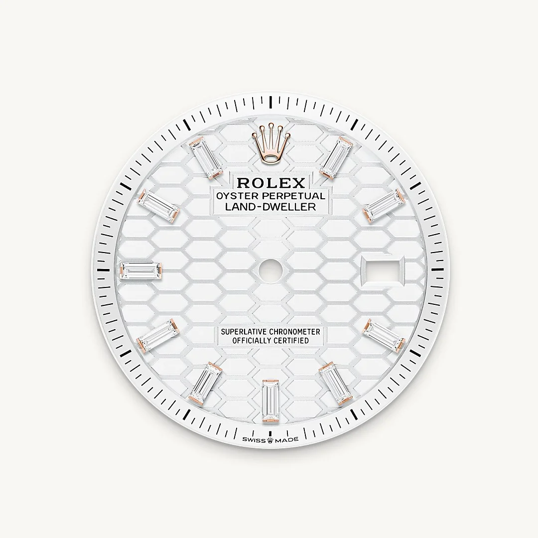 Rolex Land-Dweller 36 - Intense white dial