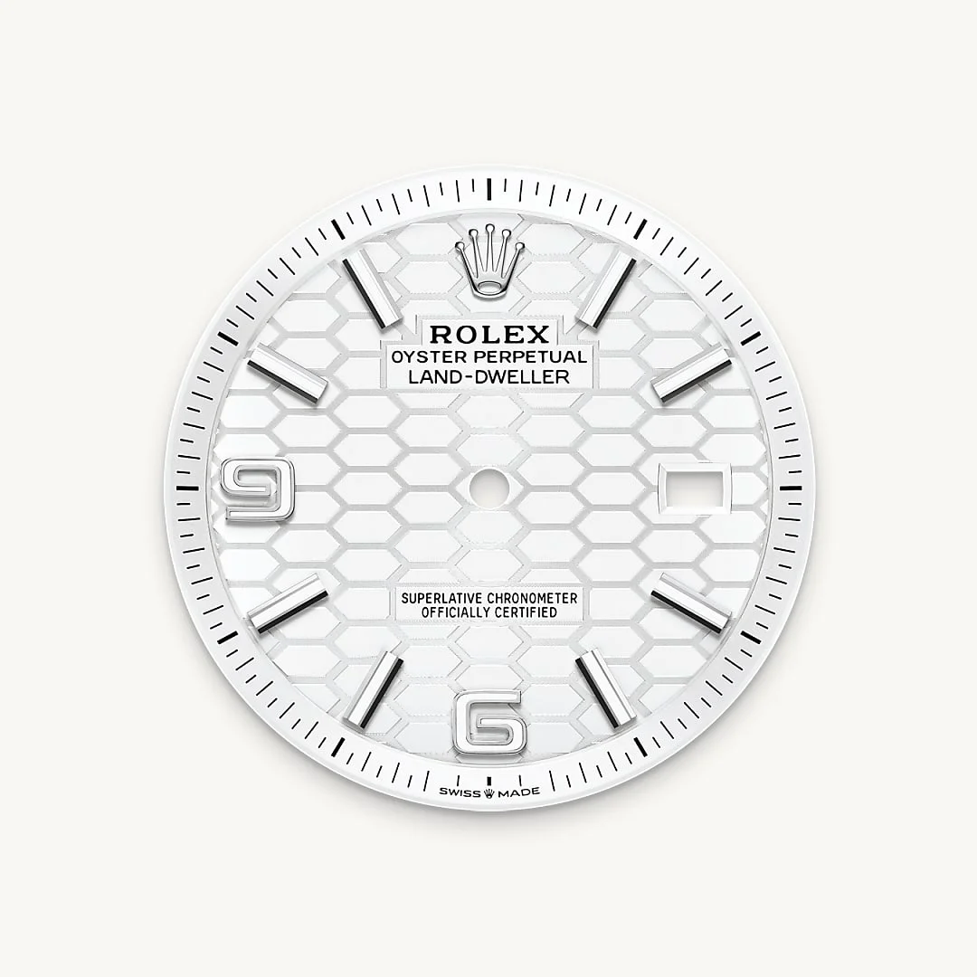 Rolex Land-Dweller 40 - Intense white dial