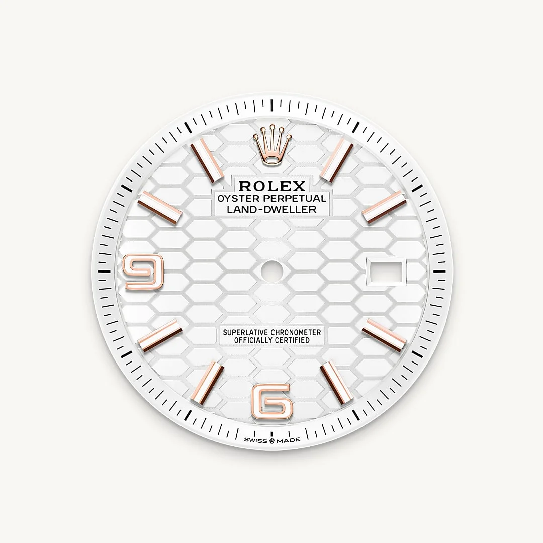 Rolex Land-Dweller 40 - Intense white dial