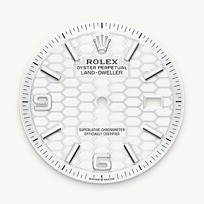 Rolex Land-Dweller 36 - Intense white dial