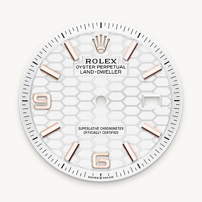 Rolex Land-Dweller 36 - Intense white dial