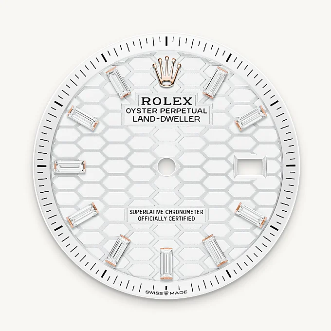 Rolex Land-Dweller 36 - Intense white dial