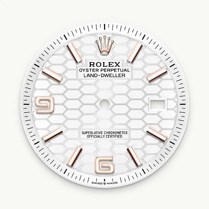 Rolex Land-Dweller 40 - Intense white dial