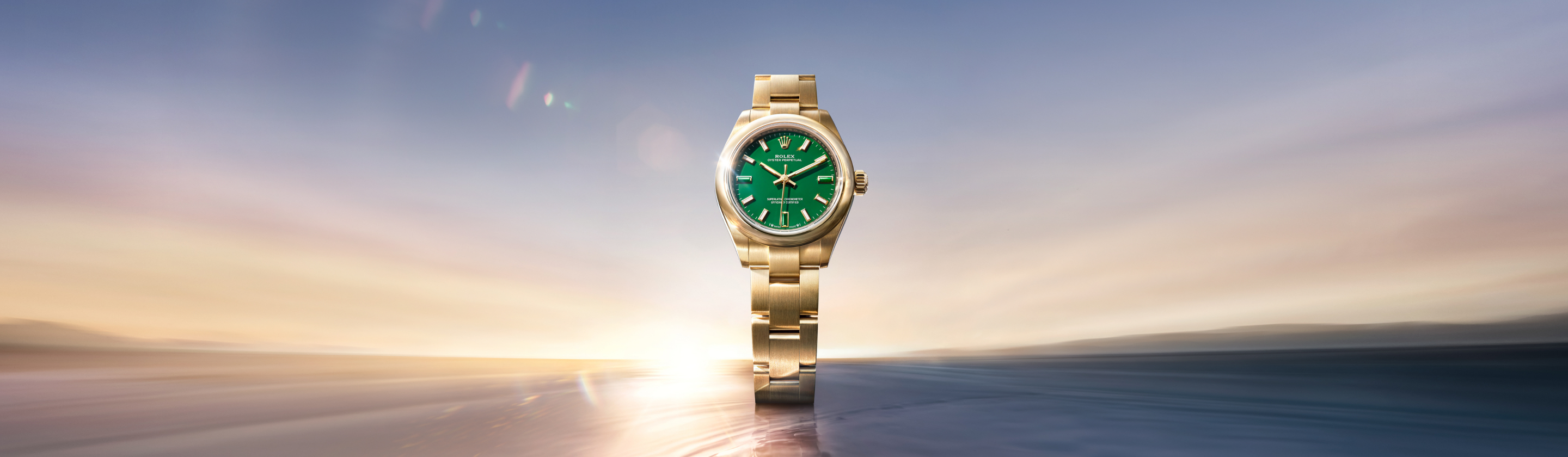 Rolex Oyster Perpetual 28 & 34 Cover