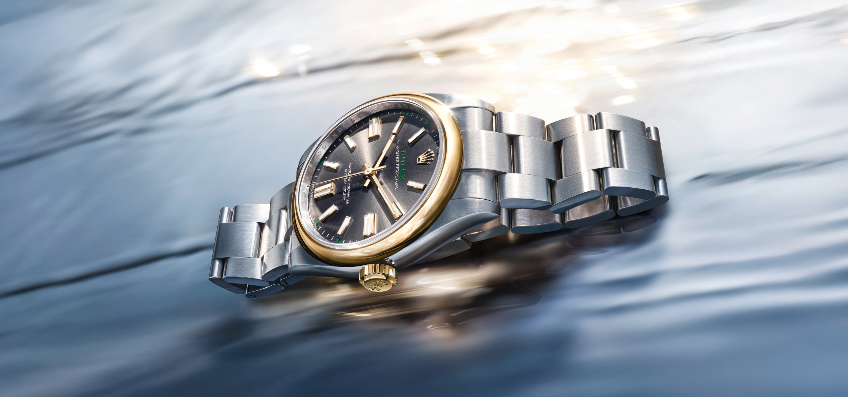 Rolex Oyster Perpetual 41 Oyster Case