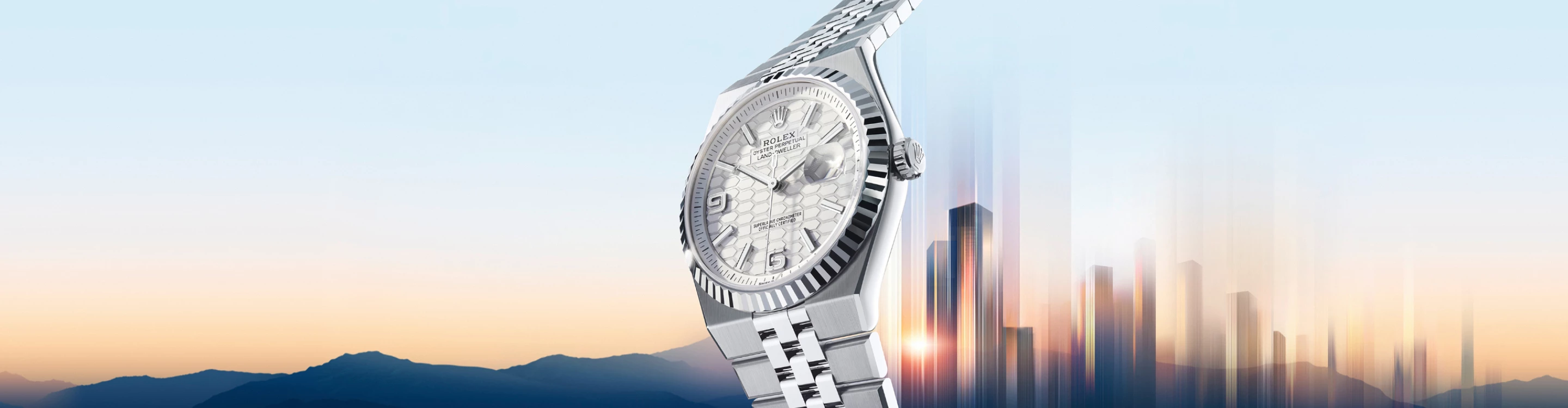 Newwatches Desktop Banner