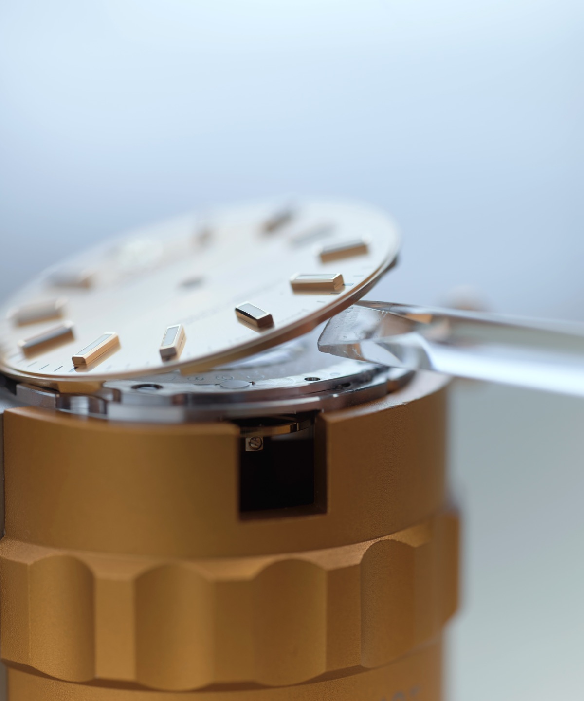The Rolex servicing procedure step