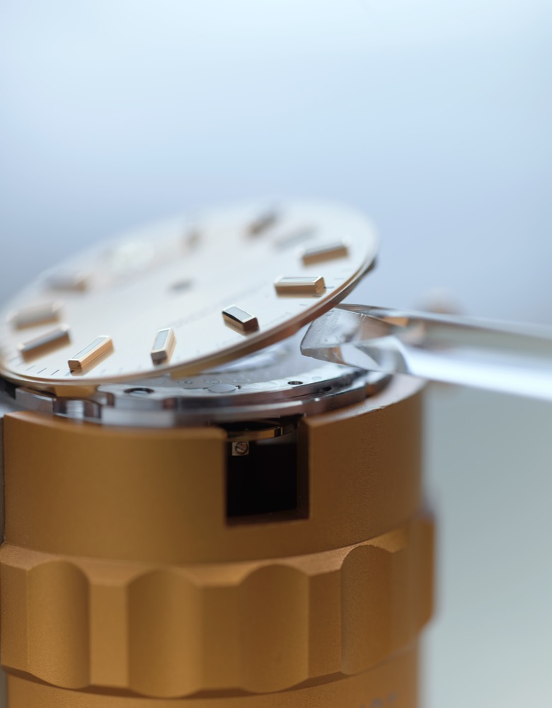 The Rolex servicing procedure step