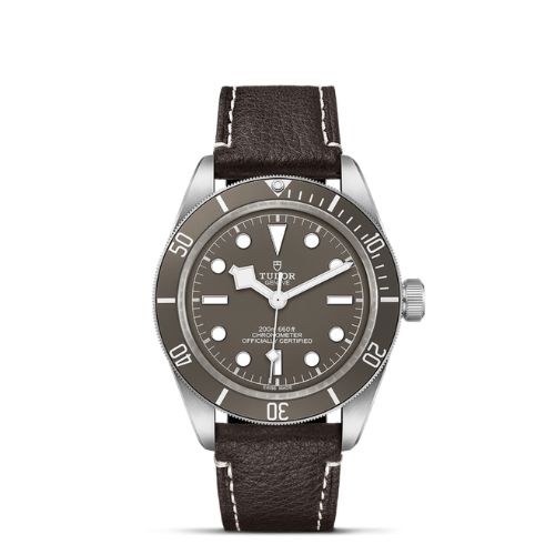 Tudor Black Bay 58 Men Watch M79010SG-0001