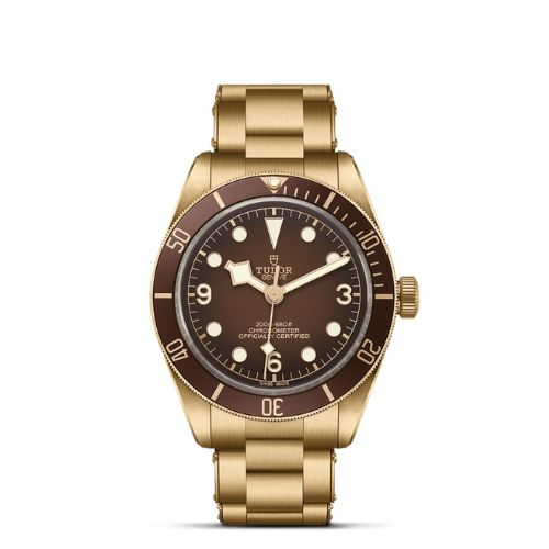 Tudor Black Bay 58 Men Watch M79012M-0001