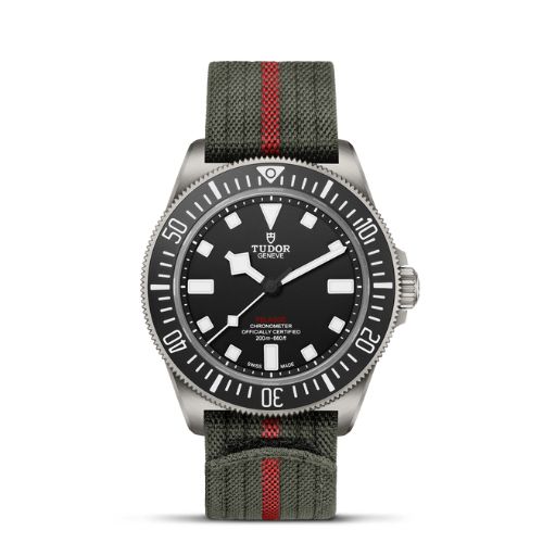 Tudor Pelagos FXD Men Watch M25717N-0001