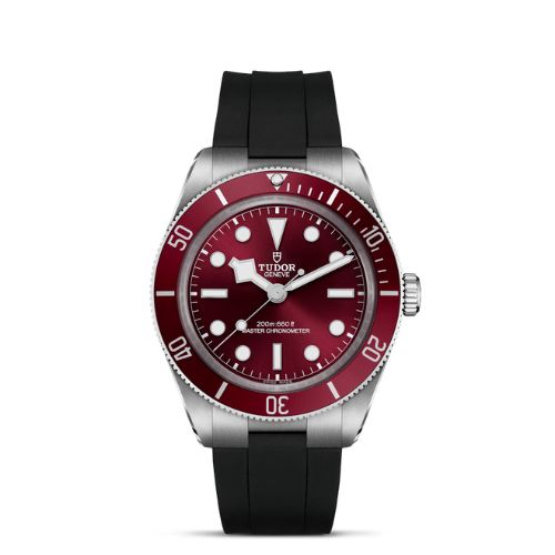 Tudor Black Bay 58 Men Watch M7939A1A0RU-0003